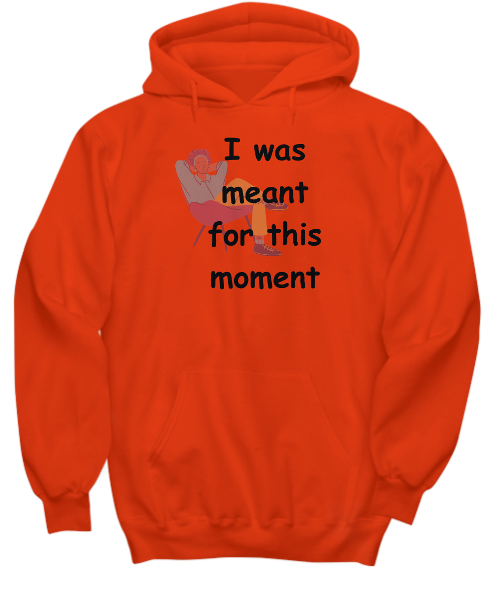 I Was Meant for This Moment Hoodie