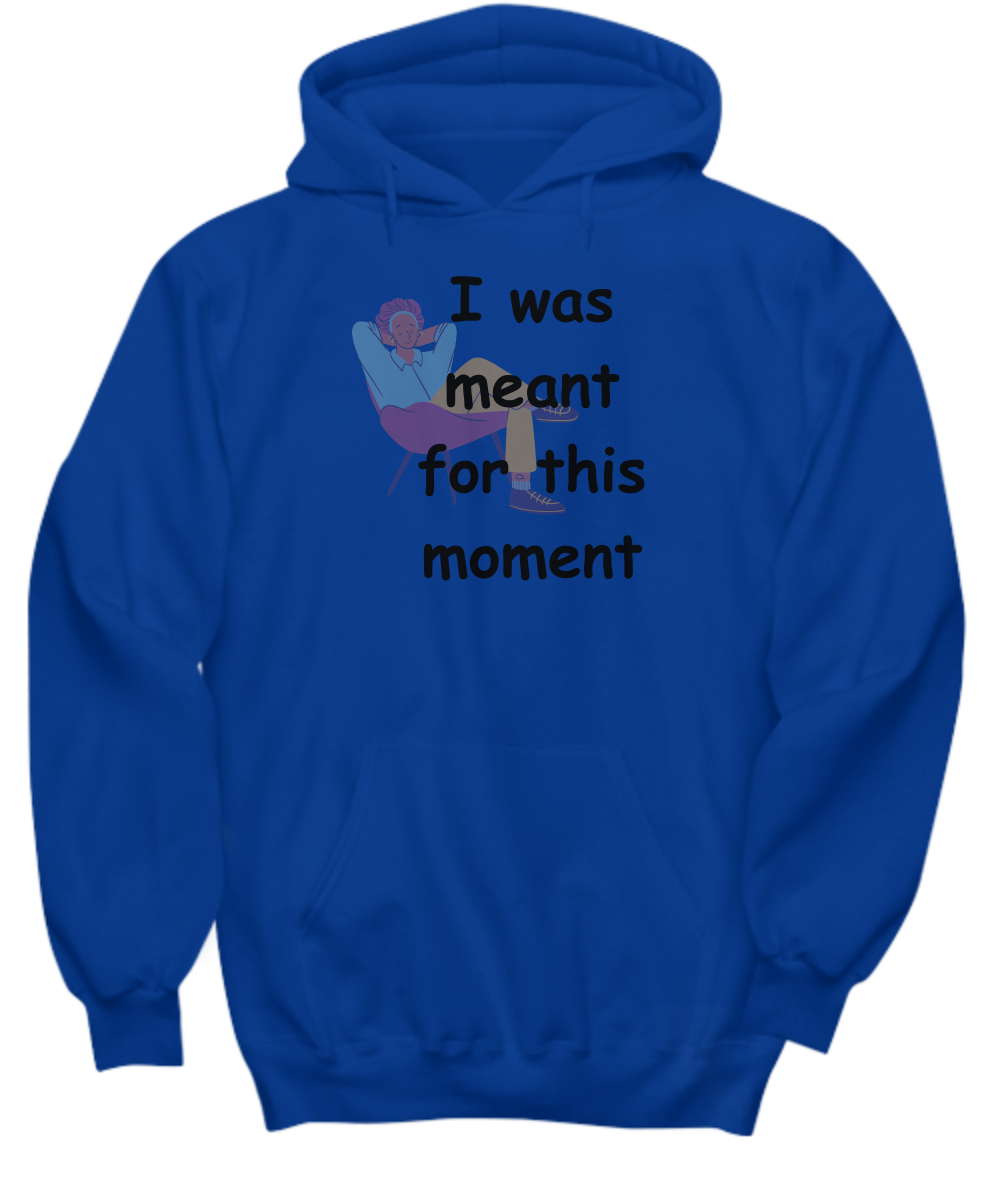 I Was Meant for This Moment Hoodie